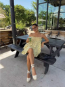 Celeste Polka Dot Skater Mini Dress