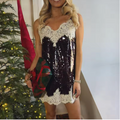 Bijou Sequin Lace Mini Dress